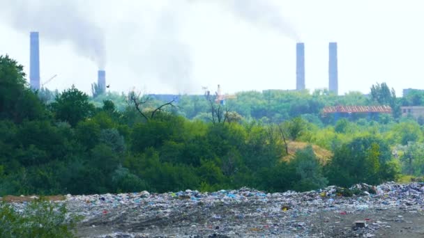 Garbage Dump Molto Male Ecologia — Video Stock