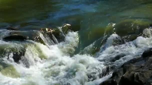 Cachoeira Montanha Rio Tempestuoso — Vídeo de Stock