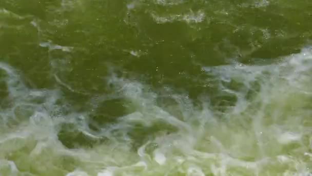 Şelale Dağ Nehir Fırtınalı — Stok video