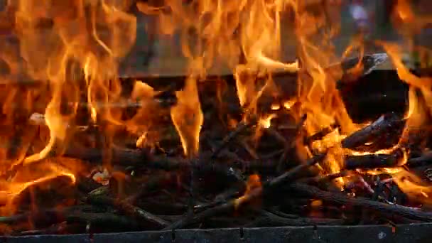 Fire Fire Bonfire Coals — Video Stock