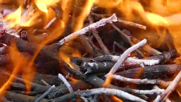 火篝火煤 — 图库视频影像