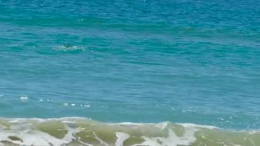 Martı denizin uçuyor