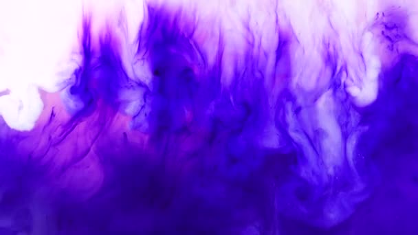Ink Water Flow Video Rainbow Paint Water Mixed Color Abstract — Stock Video