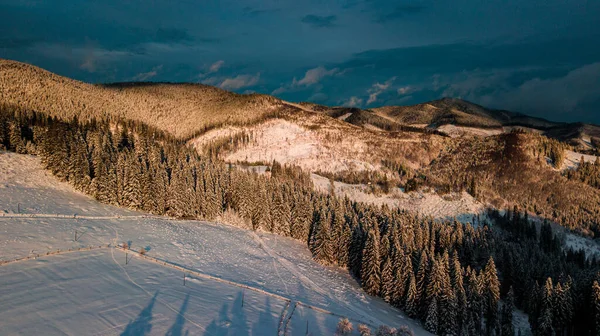 喀尔巴阡山脉冬季 夕阳西下的针叶林 — 图库照片