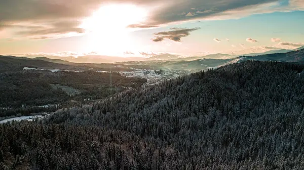 Karpat Dağları Kışı Gün Batımında Kar Kozalaklı Orman — Stok fotoğraf