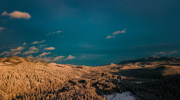 Karpaterna Vintertid Snöbarrskog Vid Solnedgången — Stockfoto