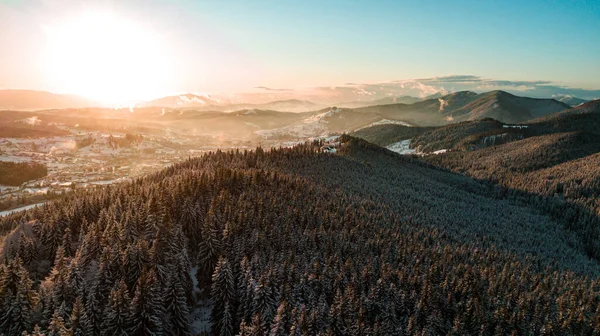 Karpat Dağları Kışı Gün Batımında Kar Kozalaklı Orman — Stok fotoğraf