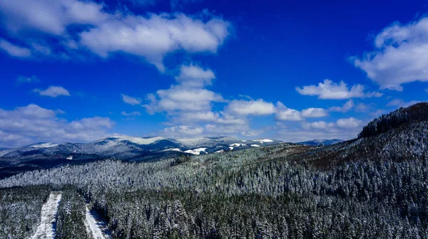 カルパチア山脈の松林針葉樹の山トップ冬の雪の空中写真 — ストック写真