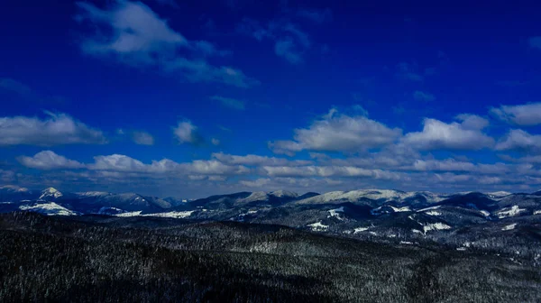 Karpaten Gebirge Kiefernwälder Nadelwälder Berggipfel Winter Schnee Luftaufnahmen — Stockfoto