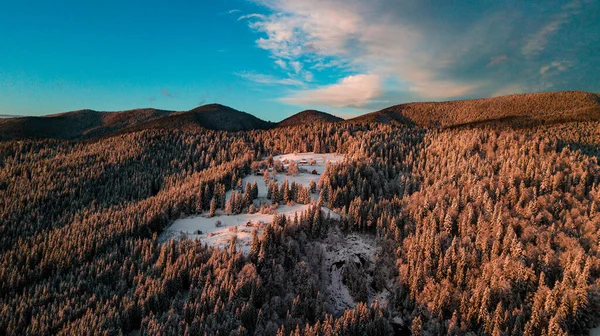 Inverno Das Montanhas Dos Cárpatos Floresta Coníferas Neve Pôr Sol — Fotografia de Stock