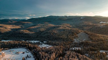 Karpat dağları kışı. Gün batımında kar kozalaklı orman.