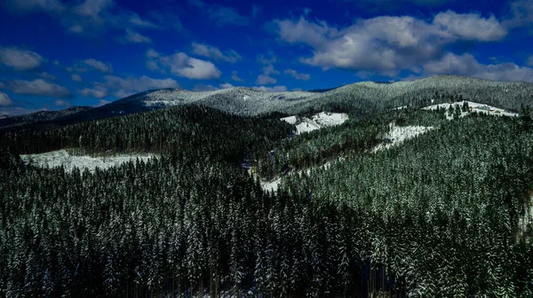 Cárpatos Montanhas Montanha Pinhais Florestas Coníferas Montanha Tops Inverno Neve — Fotografia de Stock