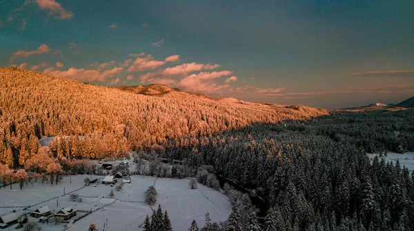 Karpat Dağları Kışı Gün Batımında Kar Kozalaklı Orman — Stok fotoğraf