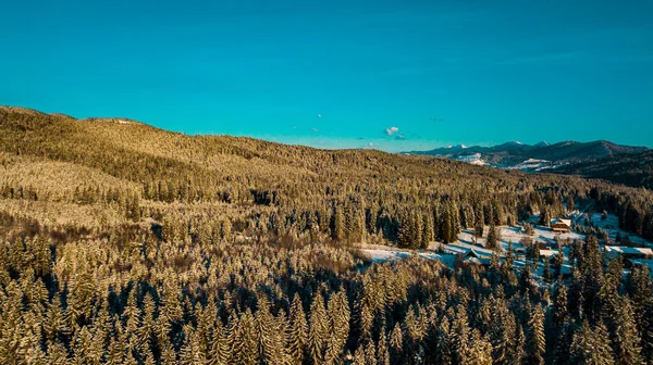 Kış Karpatya Kozalaklı Ormanı Dağ Aralığı Video Hava Fotoğrafçılığı — Stok fotoğraf