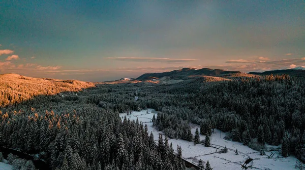 Karpat Dağları Kışı Gün Batımında Kar Kozalaklı Orman — Stok fotoğraf