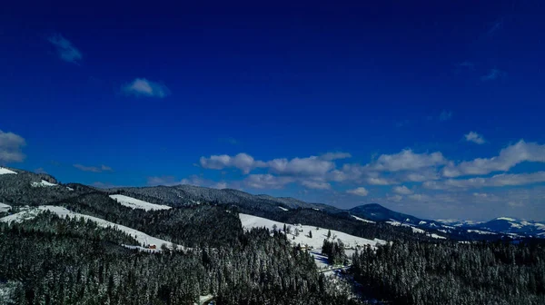 喀尔巴阡山脉山脉山脉松树林针叶林山顶冬季雪地航空摄影 — 图库照片