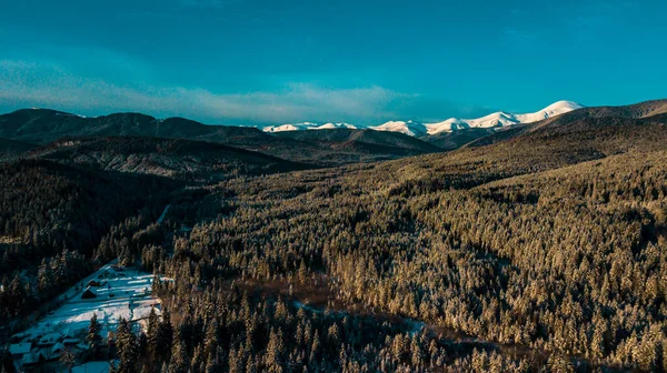Téli Kárpáti Tűlevelű Erdő Hegyvonulat Videó Légi Fotózás — Stock Fotó