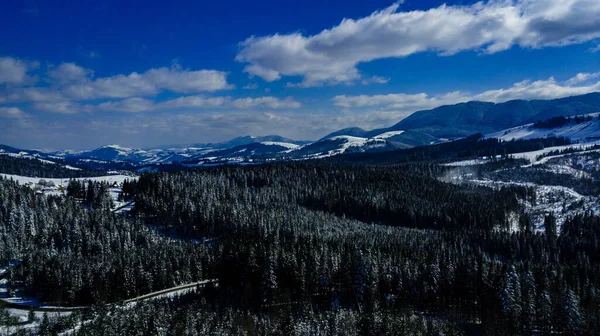 Karpaten Gebirge Kiefernwälder Nadelwälder Berggipfel Winter Schnee Luftaufnahmen — Stockfoto