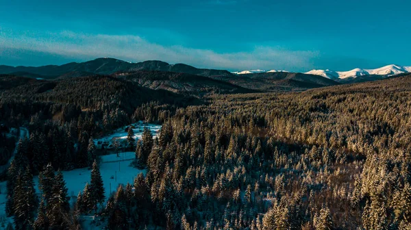Kış Karpatya Kozalaklı Ormanı Dağ Aralığı Video Hava Fotoğrafçılığı — Stok fotoğraf