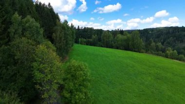 Kozalaklı orman dağları İHA 'nın üzerinden görünüyor.