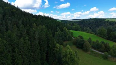 Kozalaklı orman dağları İHA 'nın üzerinden görünüyor.