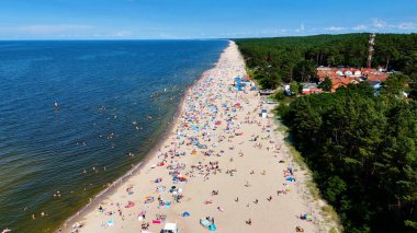 Baltık Denizi Stegna Polonya 'dan sahil manzarası