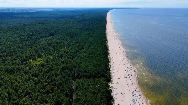 Baltık Denizi Stegna Polonya 'dan sahil manzarası