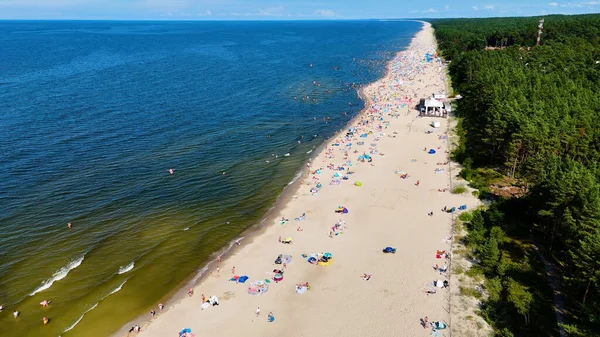 Baltık Denizi Stegna Polonya 'dan sahil manzarası
