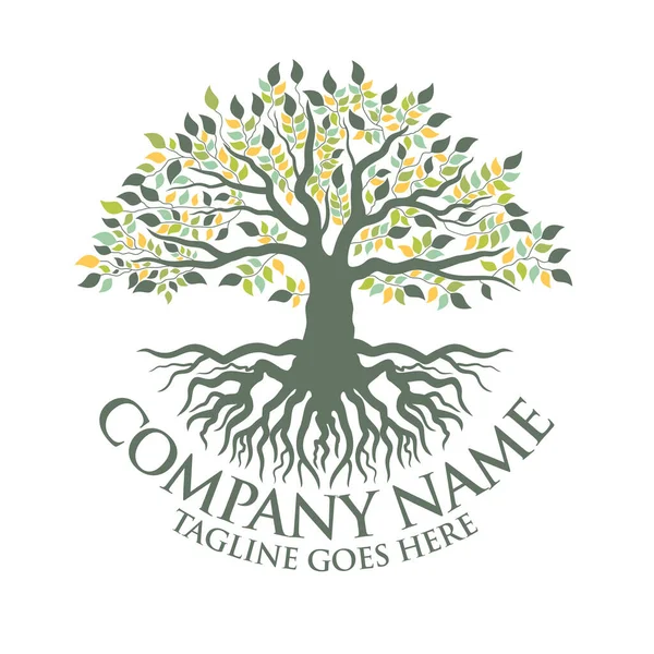 Soyut canlı ağaç logosu tasarımı, kök vektörü - Yaşam ağacı logosu tasarımı ilham kaynağı beyaz arkaplanda izole edilmiş