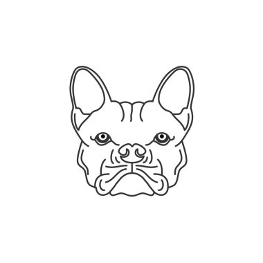 Bulldog Çizim / Renklendirme Siyah Beyaz illüstrasyon logosu