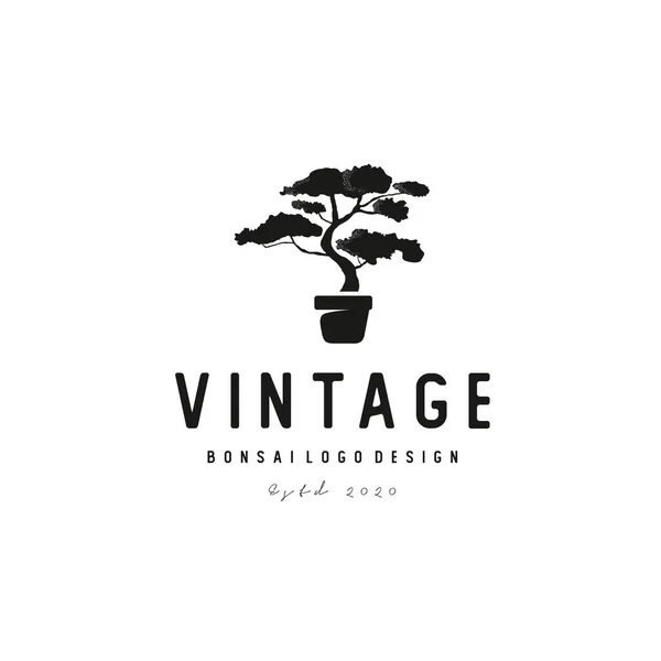 Vintage Bonsai Árvore Logotipo Vetor Design — Vetor de Stock