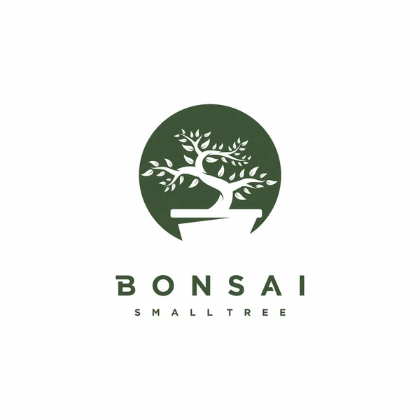 Bonsai logo tasarımı. Japon Mini Küçük Bitki Ağacı Ot Silueti logosu tasarımı