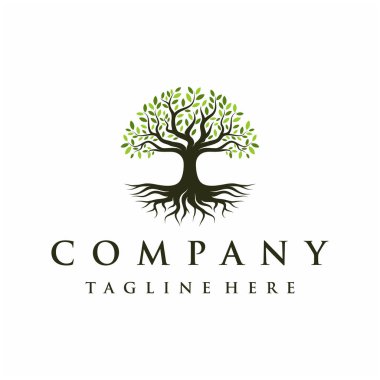 Soyut Vibrant Oak Banyan ağaç logosu tasarımı, ağaç ve kök vektörü. Yaşam ağacı logosu tasarımı ilham verici.