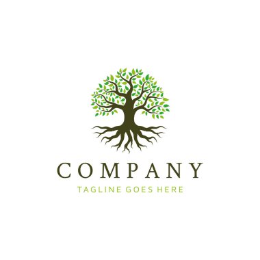 Meşe ağacı logosu tasarımı. Yaşam ağacı logosu tasarımı ilham verici.