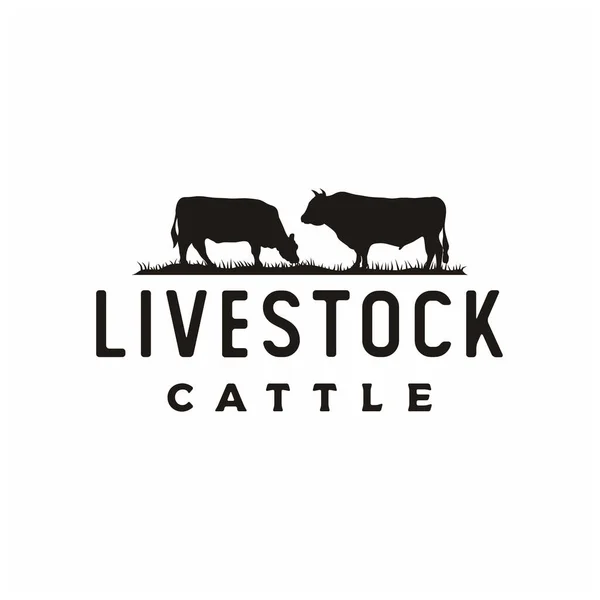 Desain Logo Vintage Retro Angus Cattle Atau Livestock - Stok Vektor