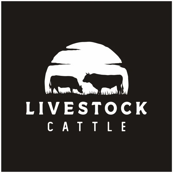 Desain Logo Vintage Angus Cattle Atau Livestock - Stok Vektor