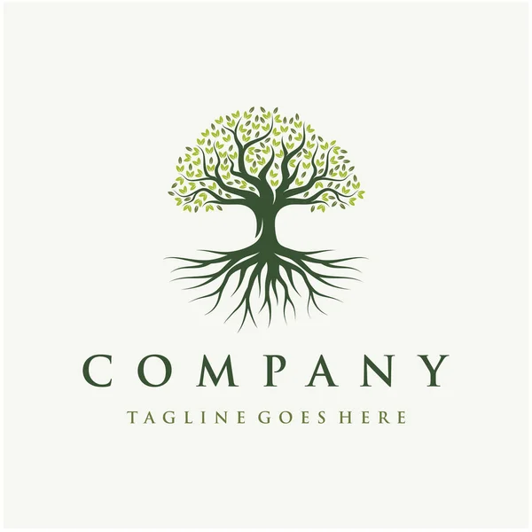 Soyut Vibrant Oak Banyan ağaç logosu tasarımı, ağaç ve kök vektörü. Yaşam ağacı logosu tasarımı ilham verici.