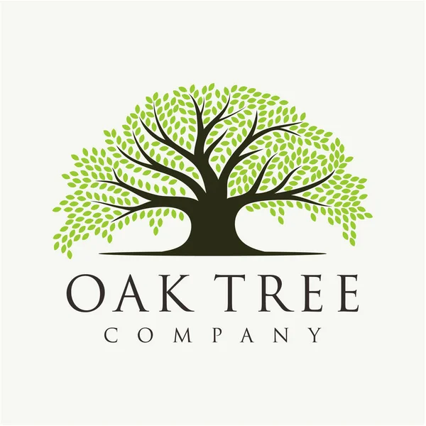 Meşe ağacı logosu tasarımı. Yaşam ağacı logosu tasarımı ilham verici.