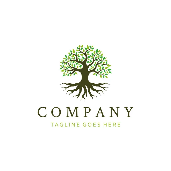 Meşe ağacı logosu tasarımı. Yaşam ağacı logosu tasarımı ilham verici.