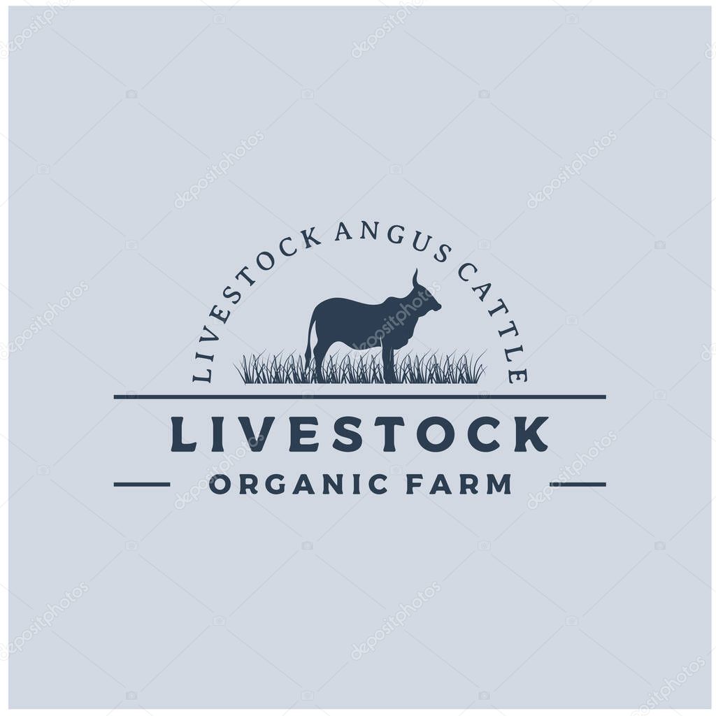 Vintage Cattle Angus Beef Meat Label logo design