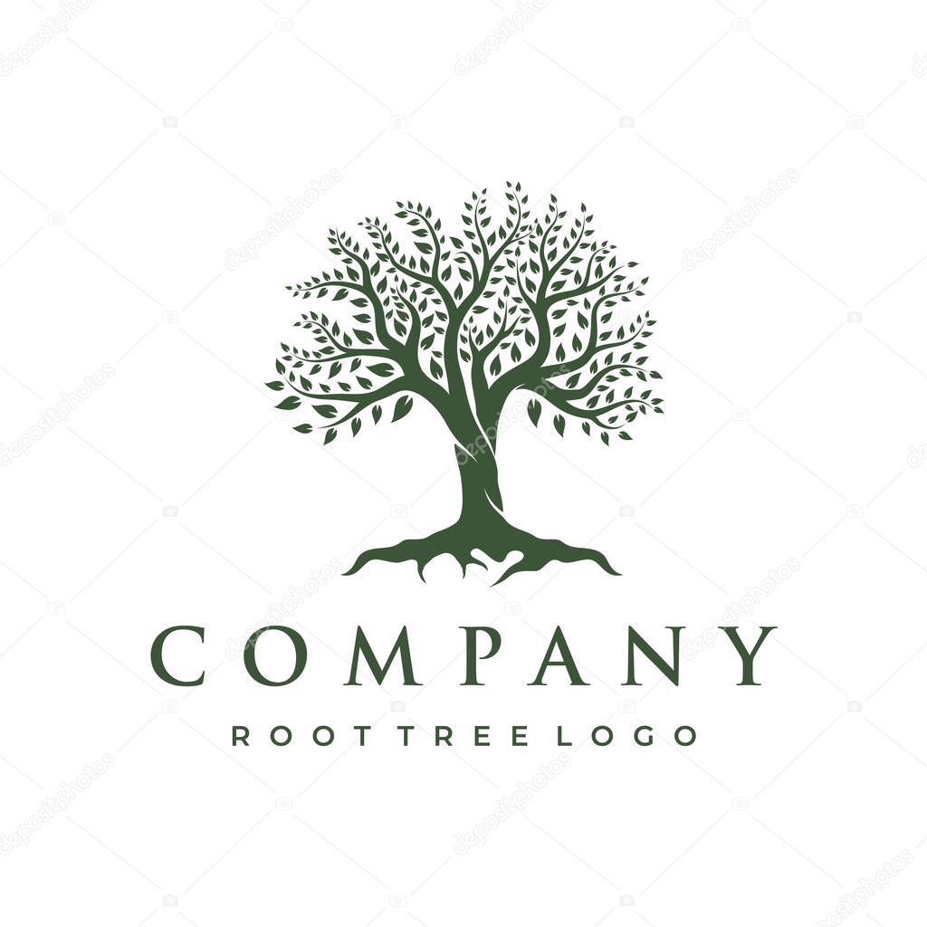 Abstract vibrant tree logo design. Root vector - Tree of life logo design inspiration