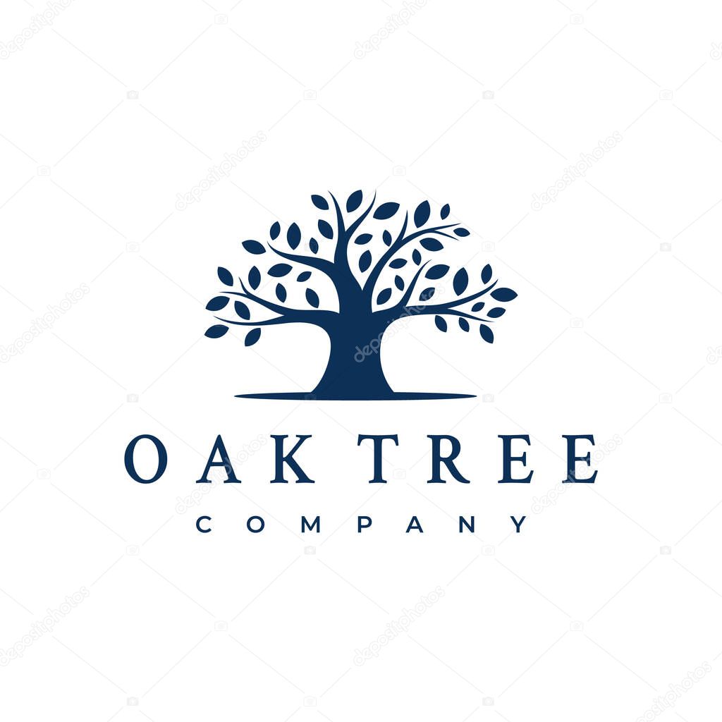 Oak Banyan tree logo design. Tree of life logo design inspiration