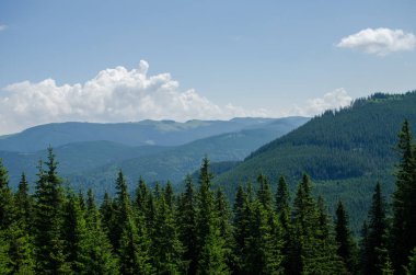 Ukrayna'da Karpat Dağları üzerinde yatay bir yaz gününde