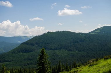 Ukrayna'da Karpat Dağları üzerinde yatay bir yaz gününde