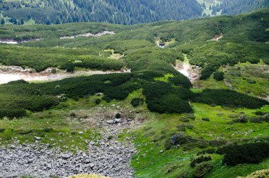 Ukrayna'da Karpat Dağları üzerinde yatay bir yaz gününde