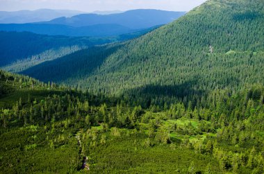 Ukrayna'da Karpat Dağları üzerinde yatay bir yaz gününde