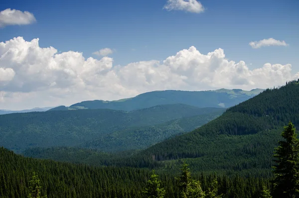 Die Landschaft Auf Den Karpaten Der Ukraine Einem Sommertag — Stockfoto