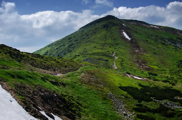 Paysage Sur Les Carpates Ukraine Jour Été — Photo