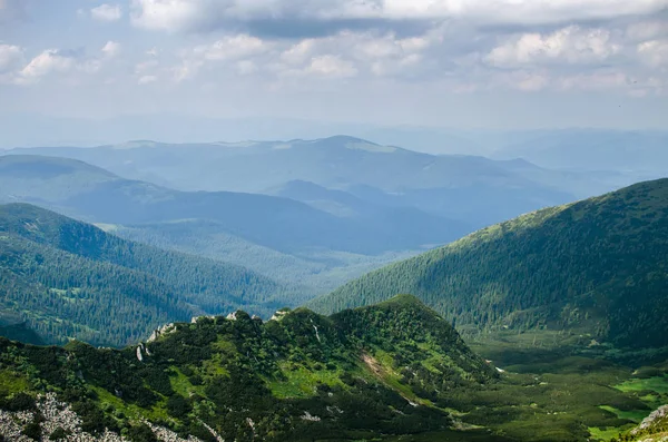 Пейзаж Карпатах Украине Летний День — стоковое фото