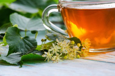 sıcak çay bir tencerede kireç kireç bir dalı ile yapılan